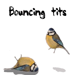 post-11064-0-16552400-1296070294.gif