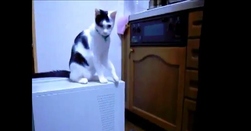 post-408096-0-95893300-1320022318_thumb.