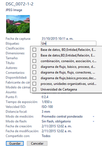 Sin título.png