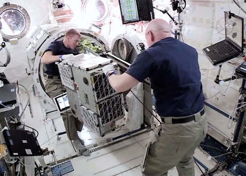 nasa_iss_on_orbit_status_report_012716_9