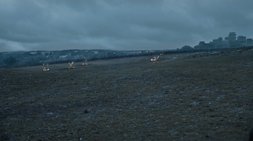 field.jpg