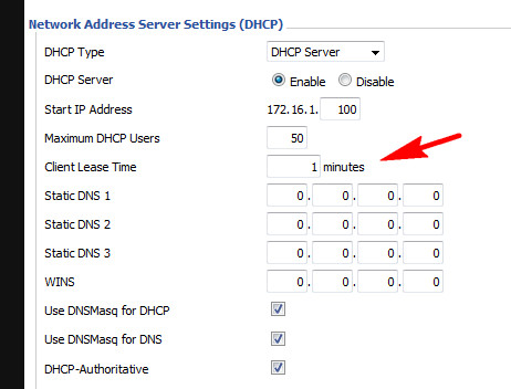 Need a router i can set to have a 5 minute DHCP lease time 