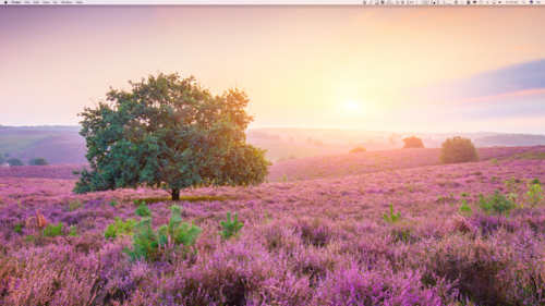 Screen Shot 2016-09-30 at 21.52.19.png