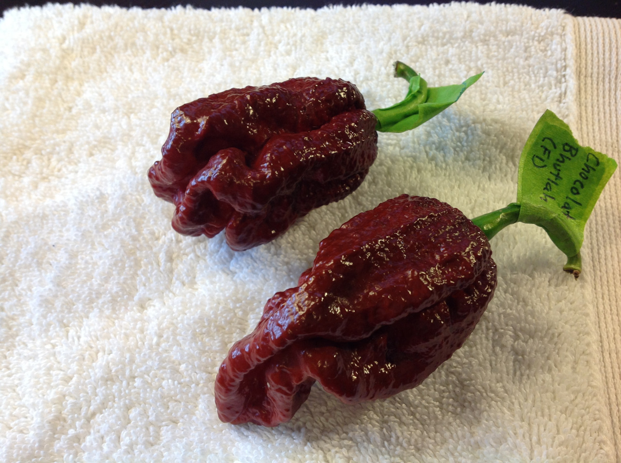 Dozens get sick after eating ghost peppers at Ohio Middle School Real