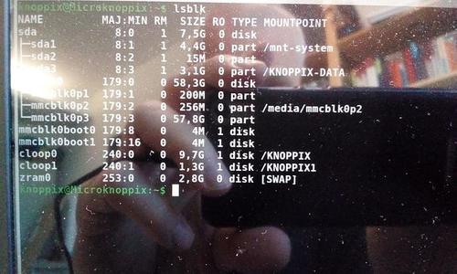 the_gparted_output_2.jpeg