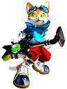 images (1).jpeg