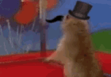 tenor.gif