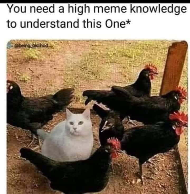 299479319_475736437724589_4764164703919221155_n.jpg