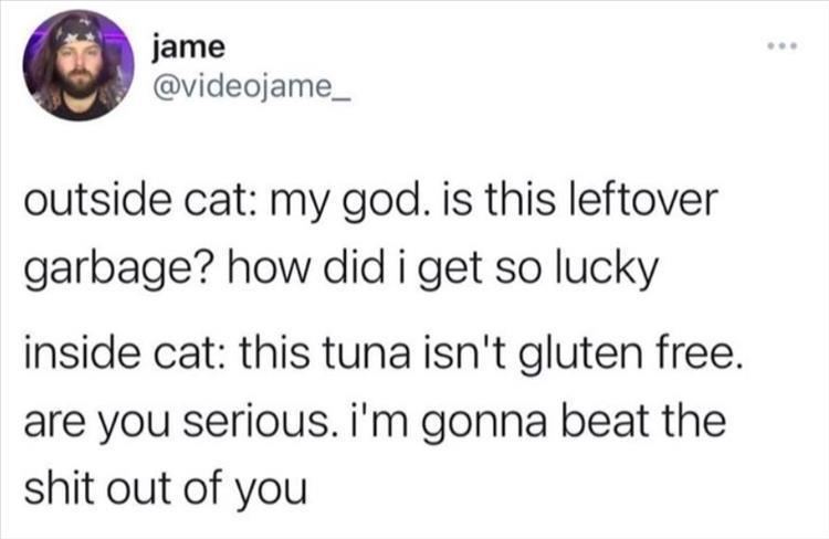 image.jpeg.1515b226b43c7b549967af43e4c25d20.jpeg