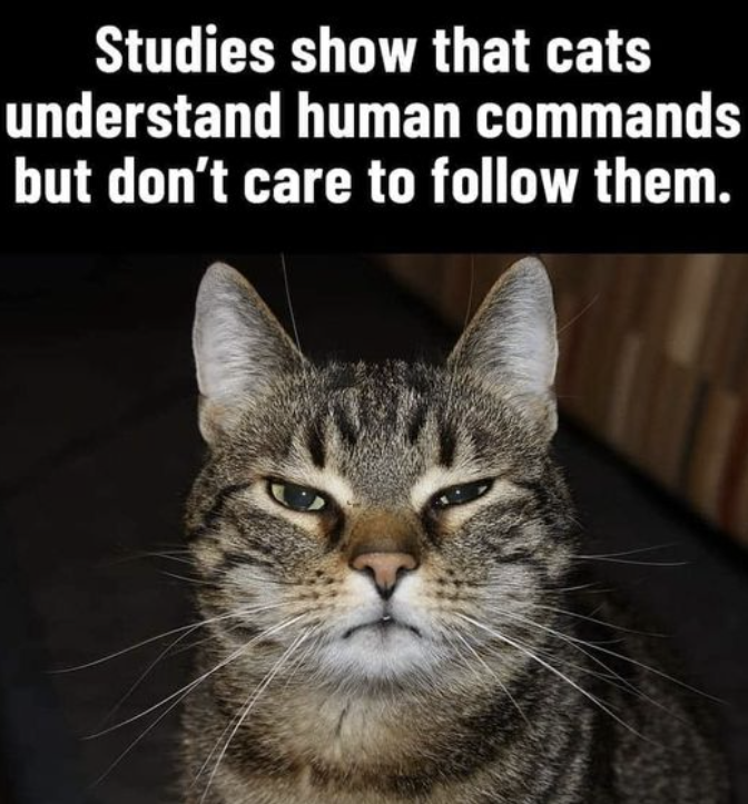 image.png.9315f418bb3d0c50f6d9f1a97aa3e5c9.png