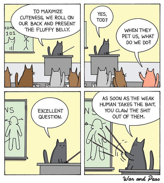 image.thumb.png.1ad468f1d9ec67a55b1dd4ea71553f26.png