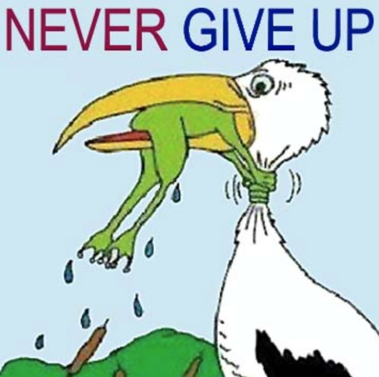image.thumb.png.2962bcbf5ca613a160457c78f732bfb3.png