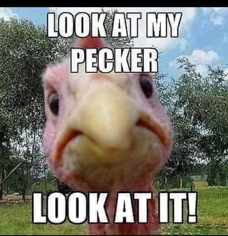 image.thumb.png.4fb0a0b4321bb5ebb000fee4e98fe10f.png