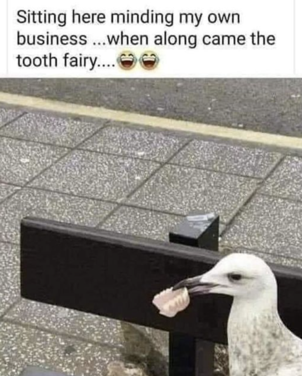 image.thumb.png.ed3285968567c05d7235ed8dd221d5a4.png