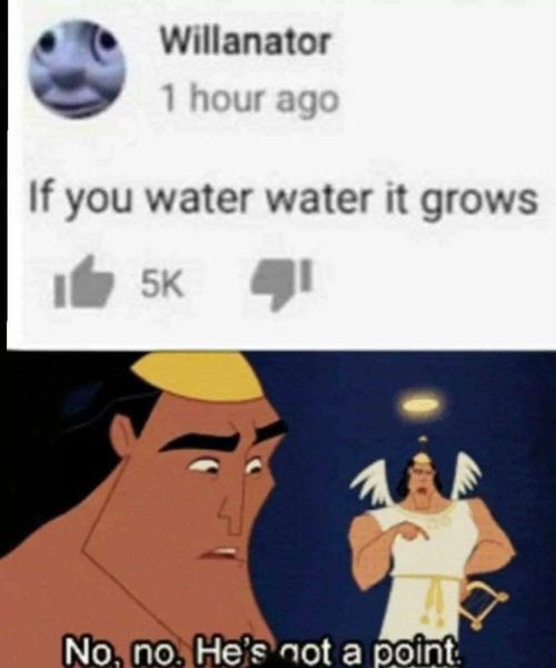 301184920_446224294199639_8249740848143133244_n.jpg