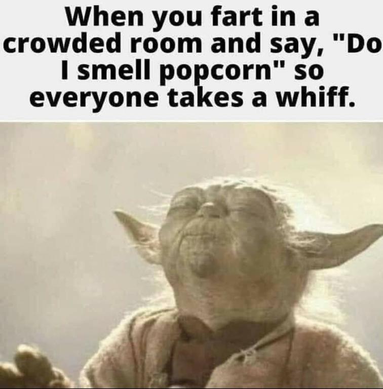 5zjxlilef9f61.jpg