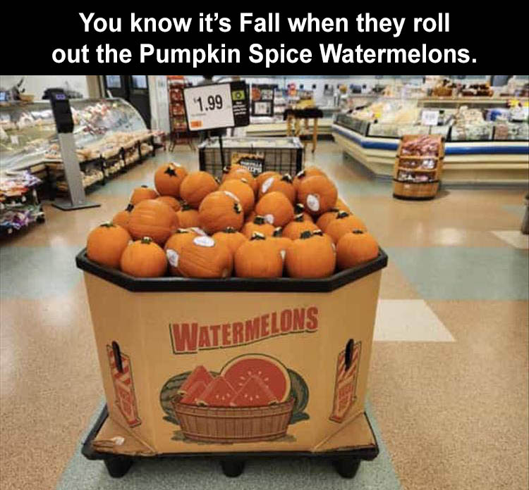 image.png.92e824998bd04a5fff89042128aa60f1.png