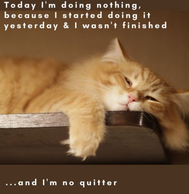 image.png.d99d52617aed57103a44c8cfb35908e2.png