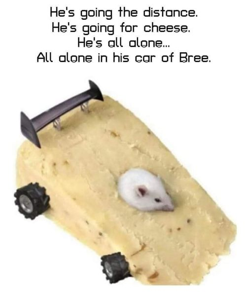 image.png.e3269760283b86f8eab8b3e2e5b51544.png