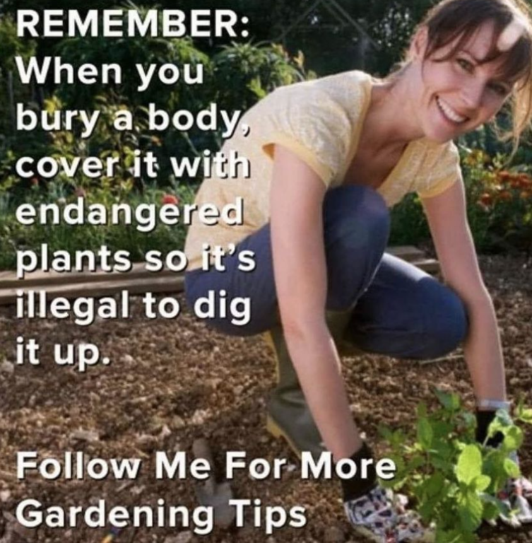 image.thumb.png.a8fef70d662bf54e6ebe9d96a4293783.png