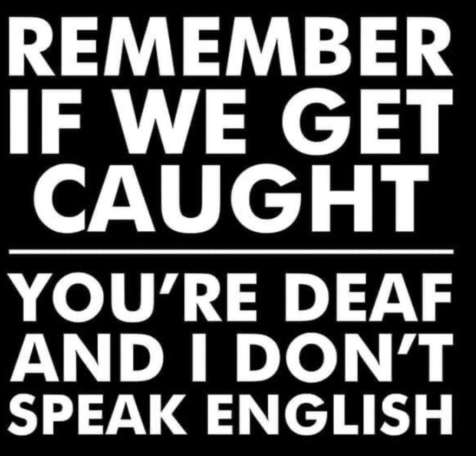 image.png.34c28782c80ce336586420965b92182c.png