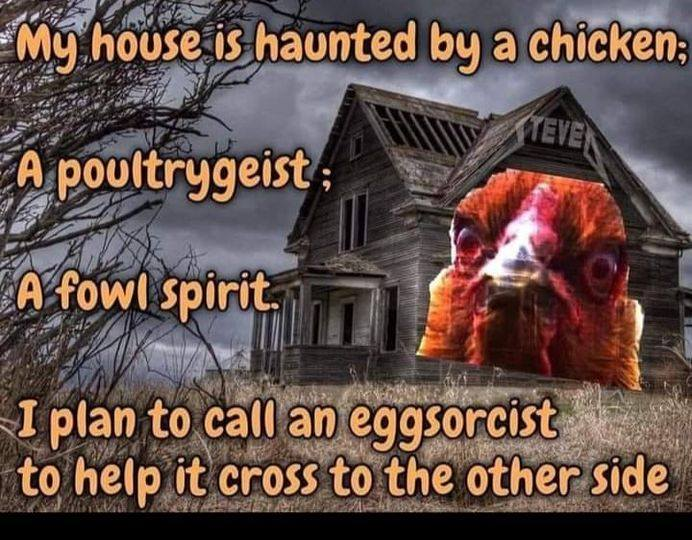 image.png.699ce2bd56295459ef29dd65c73d2c33.png