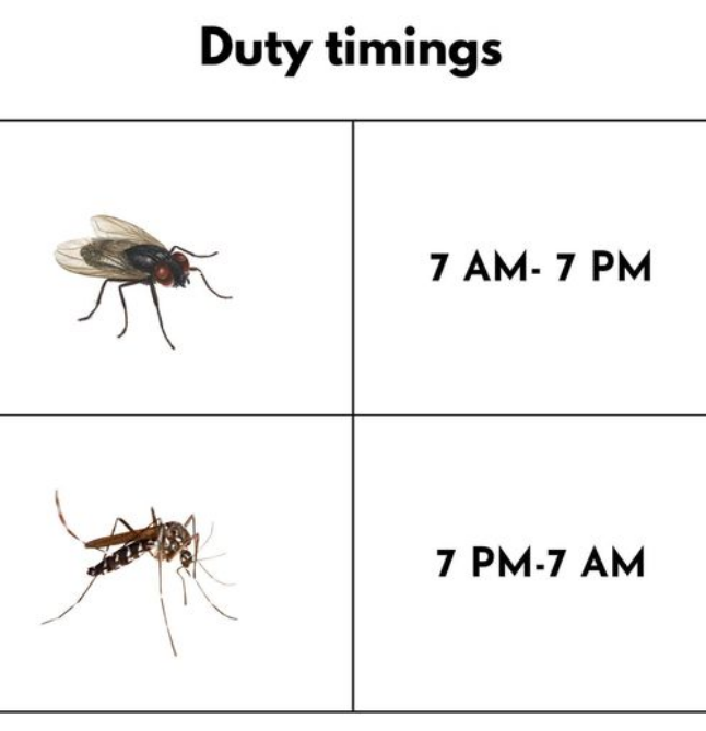 image.png.d34451614b66c3b2de71c3bfd53fe78e.png