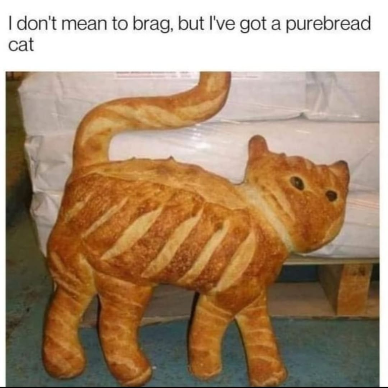 image.thumb.png.b4a9d0845ee12e67d0030ed0f3bb99f6.png