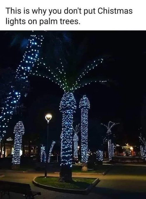 2108213130_PalmTreeLights.jpg.9fddff4491220d0a71ea969275fc1f35.jpg