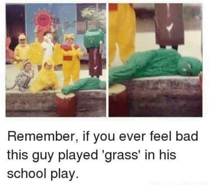 grass.jpg.fd719cc391523f4b96baa9a66f89c547.jpg