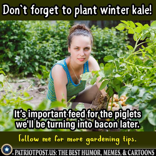 image.jpeg.3bd66492ac819e93fd97b126f725df1b.jpeg