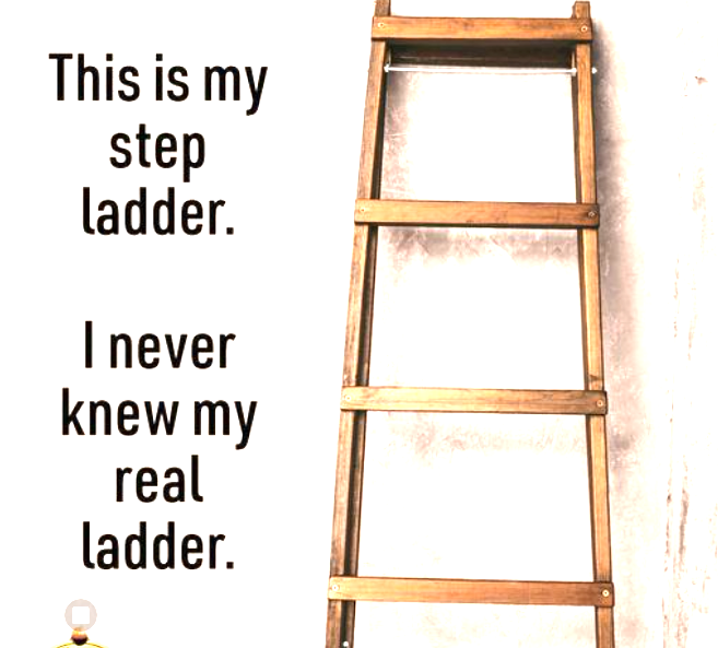 image.png.2f1ffec57d3fe902a04ed87243115242.png