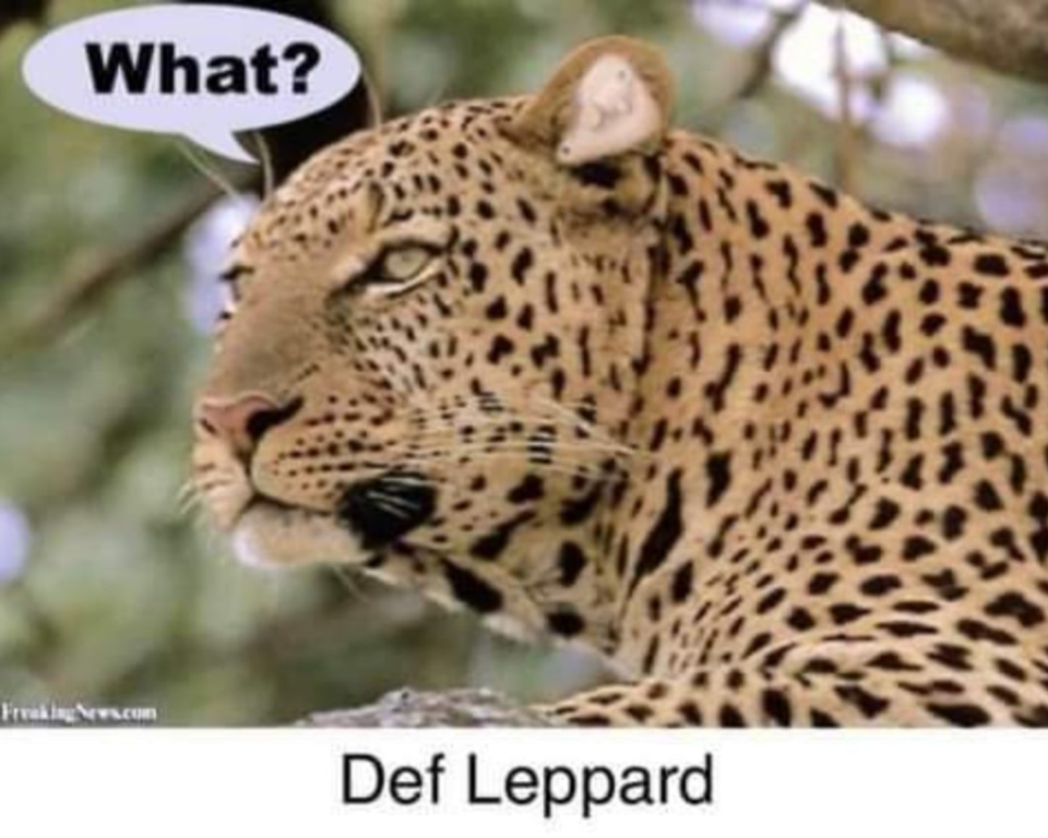 image.thumb.png.5c070d480908ad305eb59a8f12e012ee.png