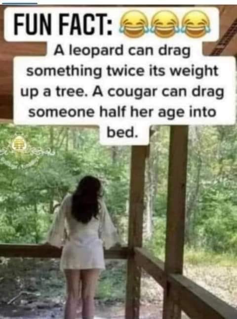 image.jpeg.db97cd98bce61d655de17d4ac2f055c8.jpeg