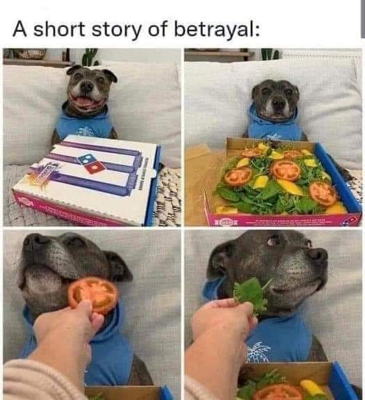 image.jpeg
