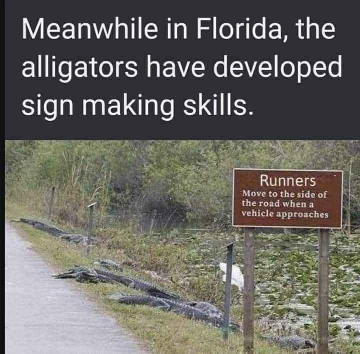 image.jpeg.33da7a10def2256b8b9aa61a7cd0808b.jpeg