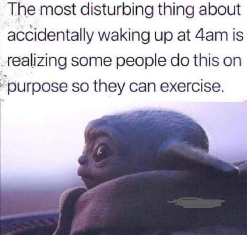 image.thumb.jpeg.d82ea38ed61830aa3e57db53e342652c.jpeg