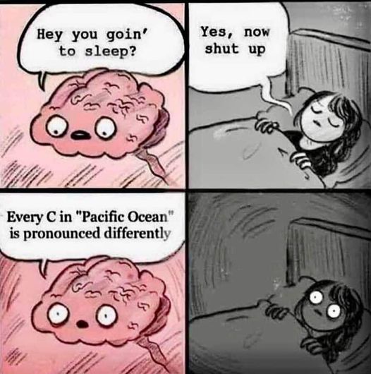 332394479_3518027301798988_6678799076932335504_n.jpg