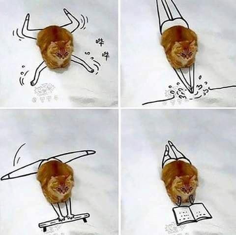 image.jpeg.4823986f13201feb0e7e6475a40a14a7.jpeg