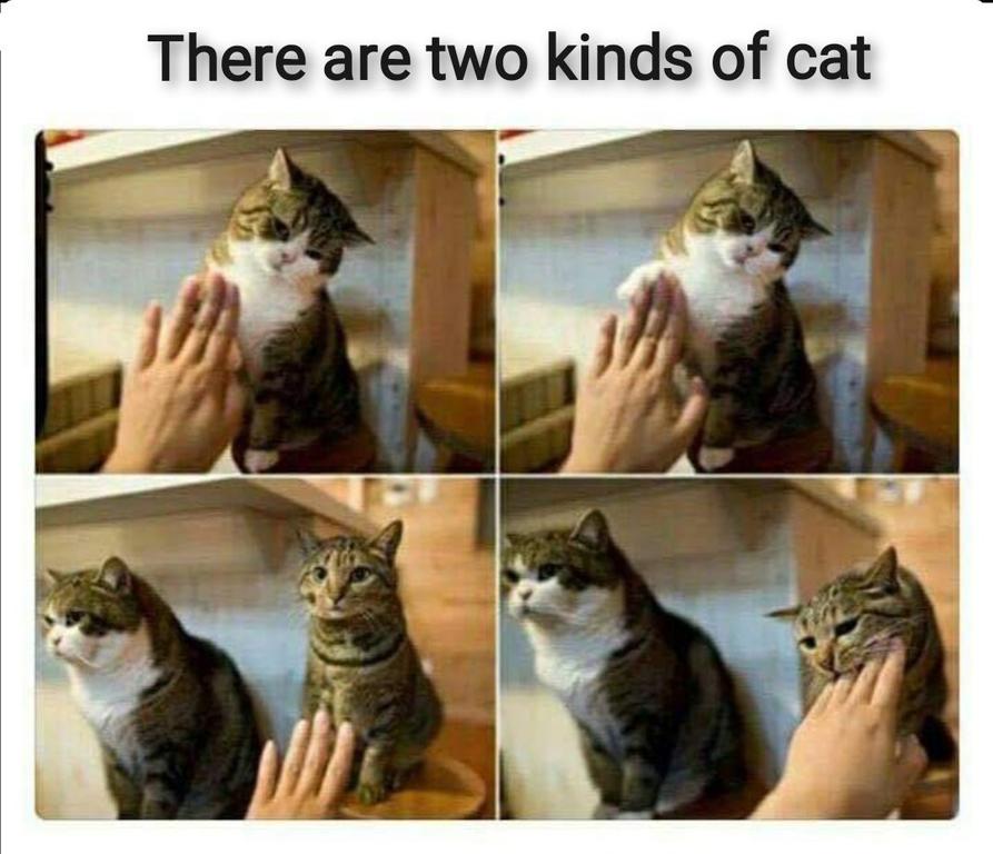 image.thumb.jpeg.51102444dbb7bb1c4149f673fb811b18.jpeg