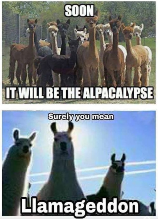 image.thumb.png.0522a78c57ae2a272c4e9129be56fbd9.png