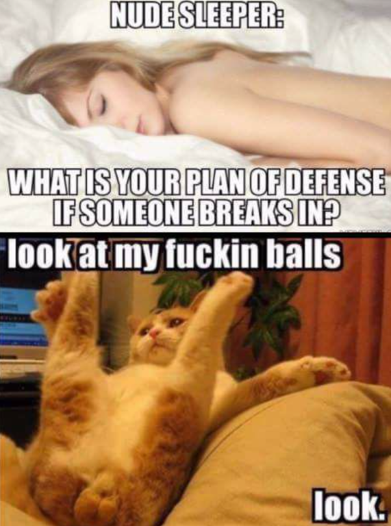 image.thumb.png.6bb0fa89f41d67bcd5fe728223473883.png