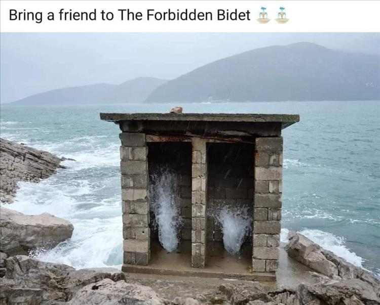 image.jpeg.b39bd0ac1fbc1e821892dcd695bbc714.jpeg