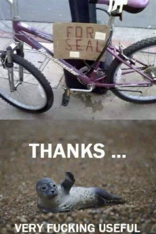 image.thumb.png.678fa788b35f988da07435208d11948b.png