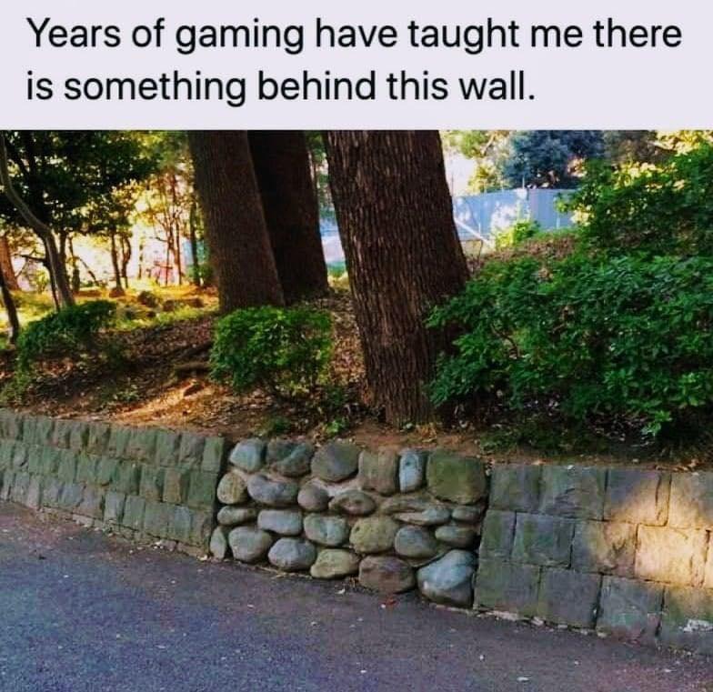 image.jpeg.f56ca9810774fd32ed976919aecae5ea.jpeg