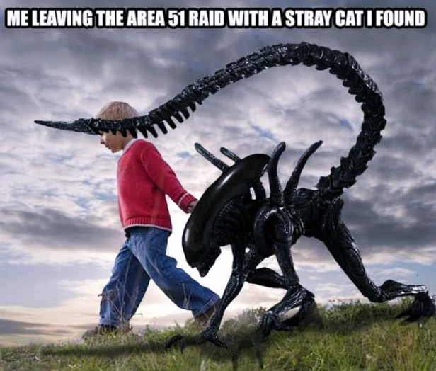 image.png.726713a121df6e275330898447bb7480.png