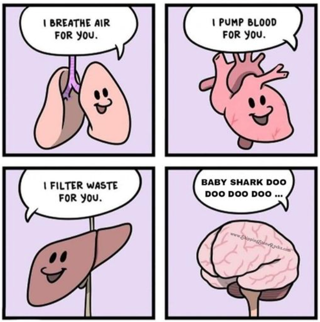 image.png.a411b0288af11142e22a3f18e76b28de.png