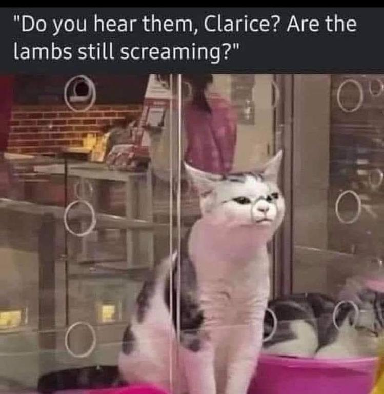 image.jpeg