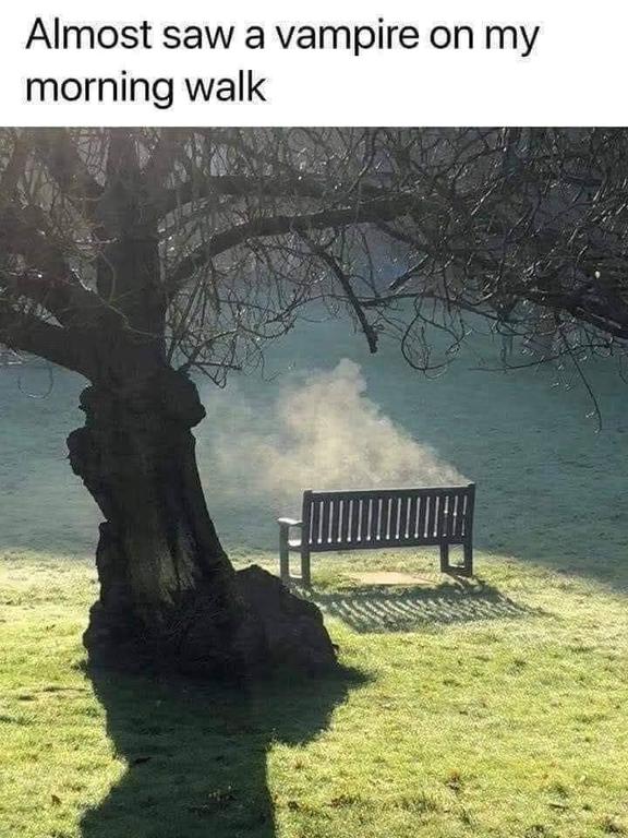 image.thumb.jpeg.ab7f224100252be41c4ef4ee0ec3c9c4.jpeg