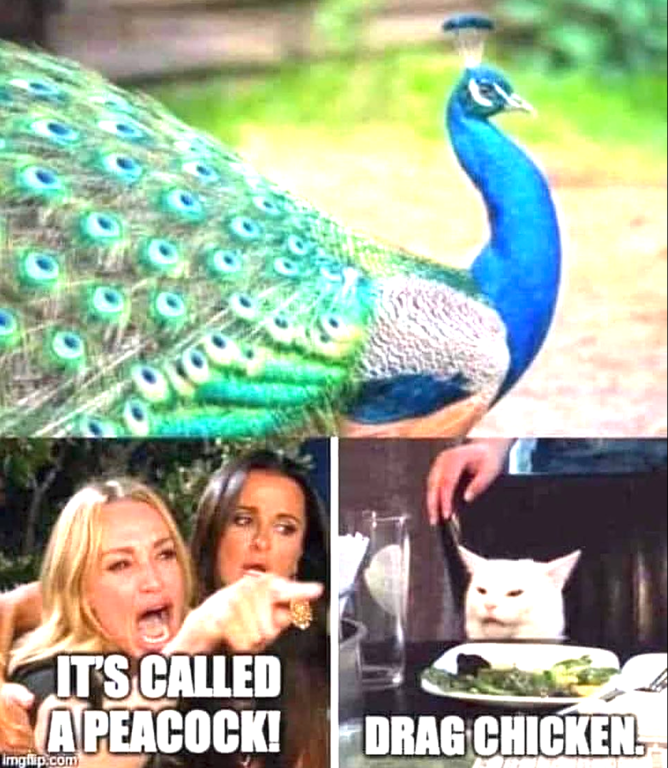 image.thumb.png.e00cec8931c87bf2c2d9e6b7db8b8e70.png